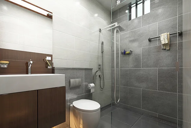 inspire homes Toilets